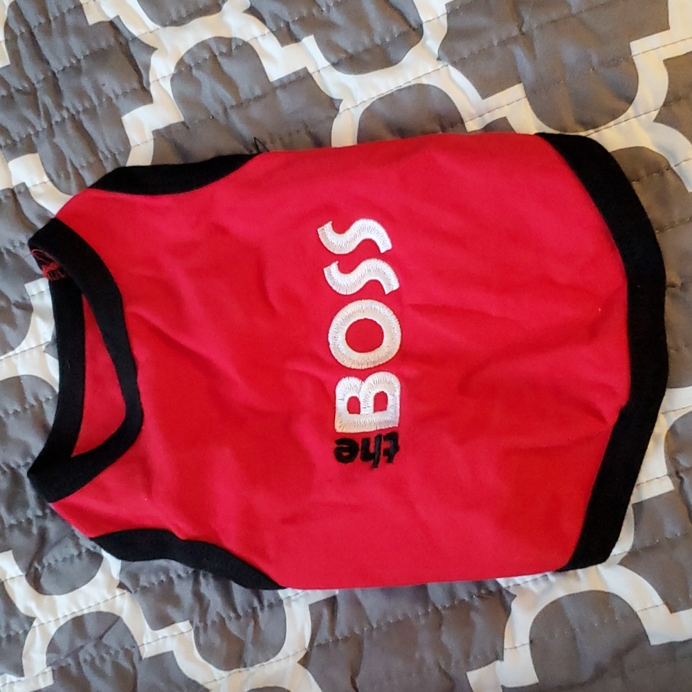 Dog outfit
